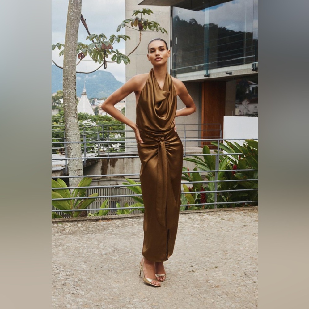 Zara Brown Maxi Dress